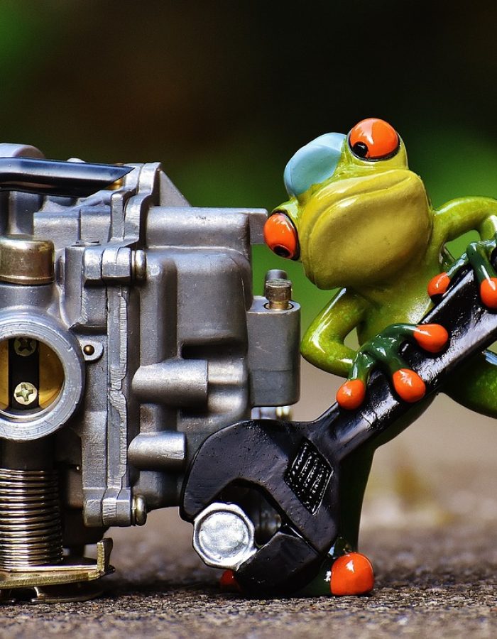 frog, mechanic, screwdriver-1672974.jpg